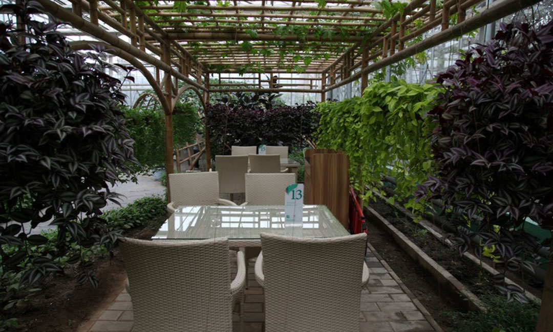 吕梁康柏宇品牌文案撰写案例